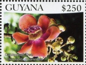 Гайана - Guyana 2016