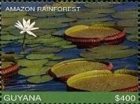 Гайана - Guyana (2017)