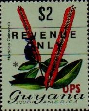 Guyana 1988