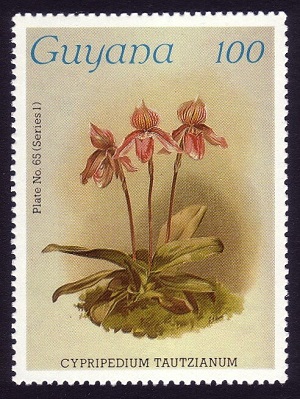 Гайана - Guyana 1987