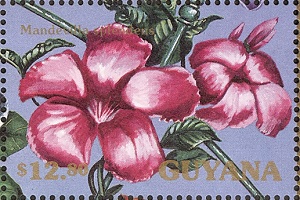 Гайана - Guyana M.splendens - 1990