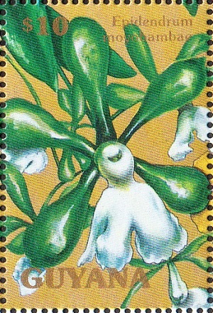 Гайана - Guyana (1990)