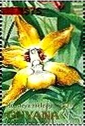Гайана - Guyana (1991)