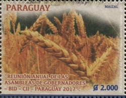 Paraguay 2017