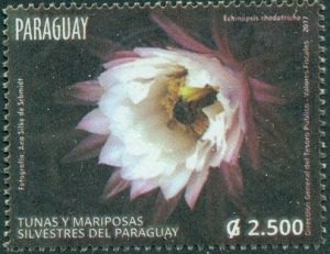 Парагвай - Paraguay (2017)