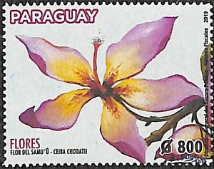 Paraguay 2019
