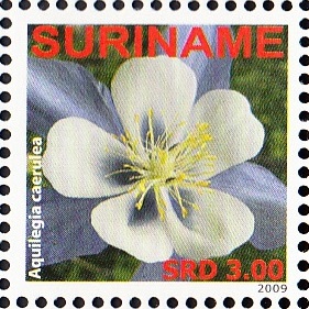 Surinam 2009