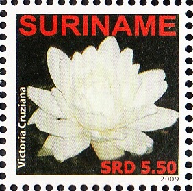Surinam 2009
