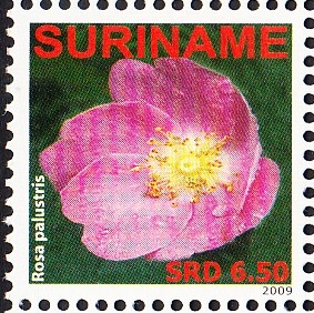 Суринам - Suriname (2009)