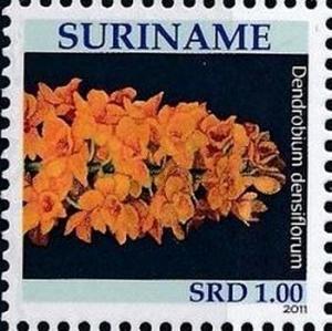 Суринам - Surinam (2011)