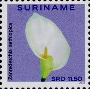 Surinam 2013