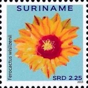 Суринам - Surinam (2013)