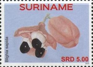 Суринам - Surinam (2015) 