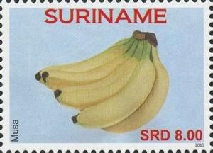 Суринам - Surinam 2015