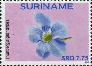 Suriname 2015