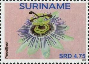 Surinam 2015