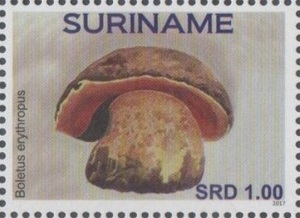 Suriname 2017