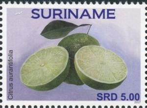 Суринам - Surinam (2017)