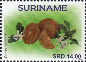 Surinam 2018