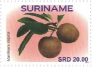 Surinam 2018