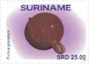 Suriname 2018