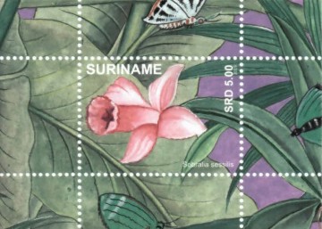Суринам - Surinam (2019) 