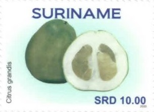Surinam 2020