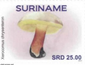 Суринам - Suriname (2021) 