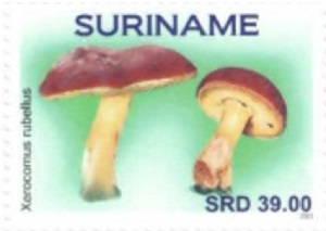 Суринам - Suriname (2021) 
