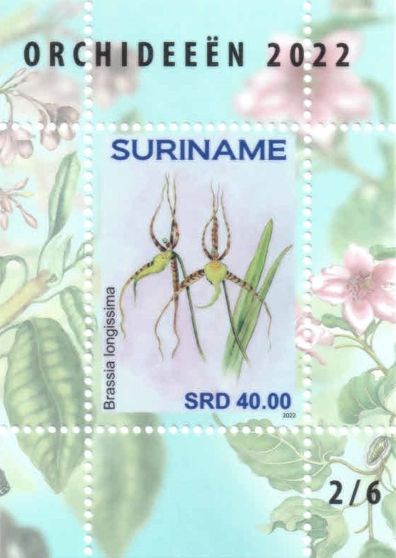 Суринам - Suriname (2022)