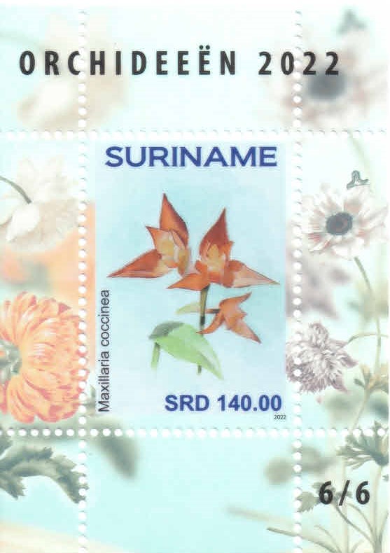 Суринам - Suriname (2022)