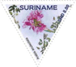 Суринам - Surinam (A.aculeata - 2023) 