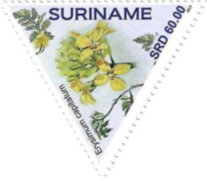 Суринам - Surinam (2023) 