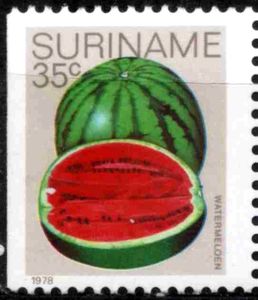 Суринам - Suriname 1980