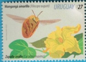 Уругвай - Uruguay (2020)