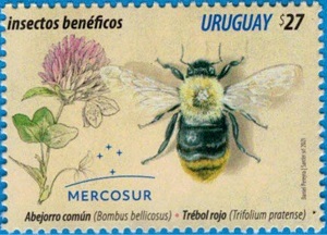 Уругвай - Uruguay (2021)