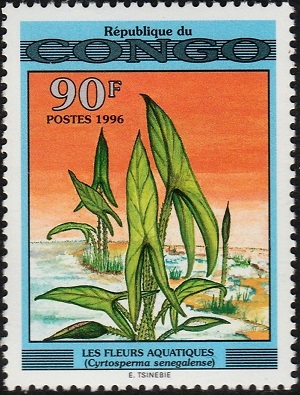 Конго - Congo (1996)