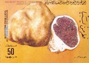 Libya 1985