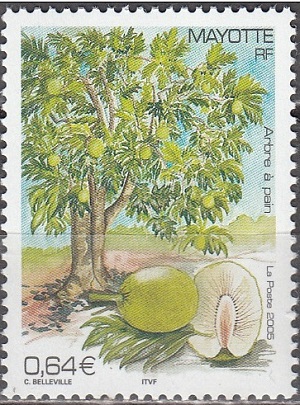 Mayotte 2005