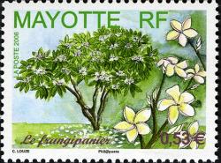 Mayotte 2006