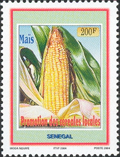 Senegal 2004
