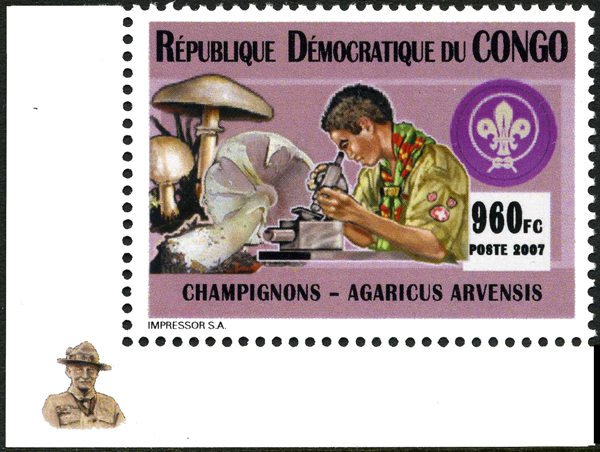 DRC 2007