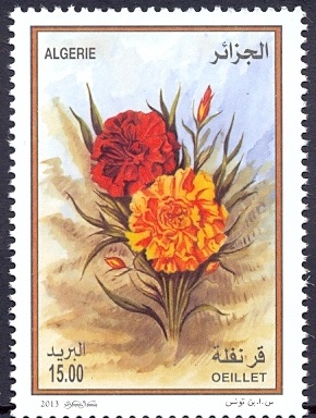 Алжир - Algeria 2013