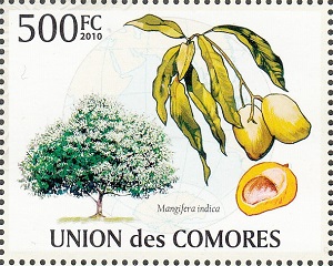 Comoros 2010