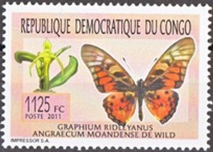 DRC 2011
