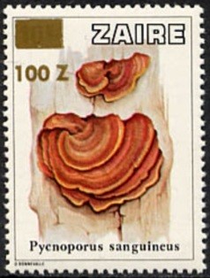 Zaire 1990
