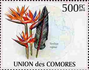 Comores 2009