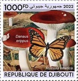 Djibouti 2022