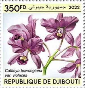 Джибути - Djibouti (2022)
