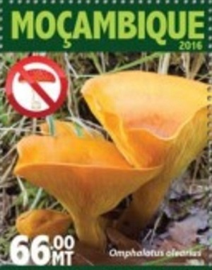 Мозамбик - Mozambique 2016